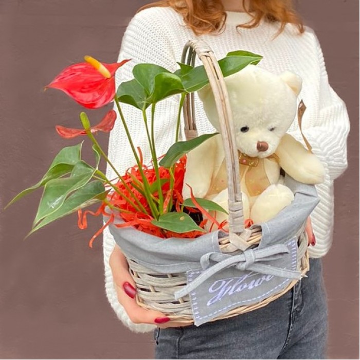 Композиция с антуриумом и мишкой в корзине