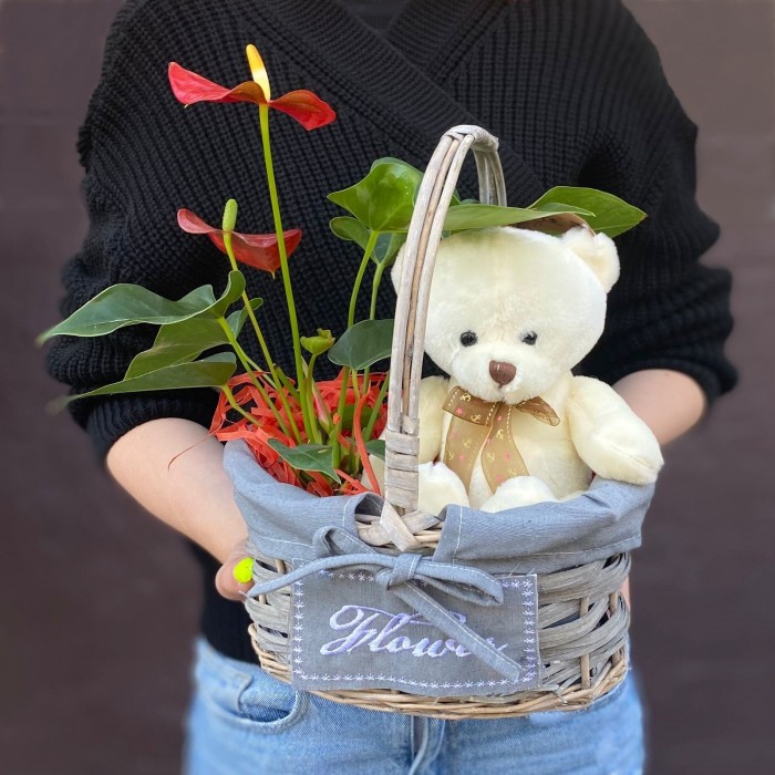 Композиция с антуриумом и мишкой в корзине