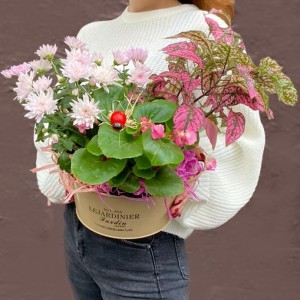 Композиция с хризантемой и бегонией в металлическом кашпо