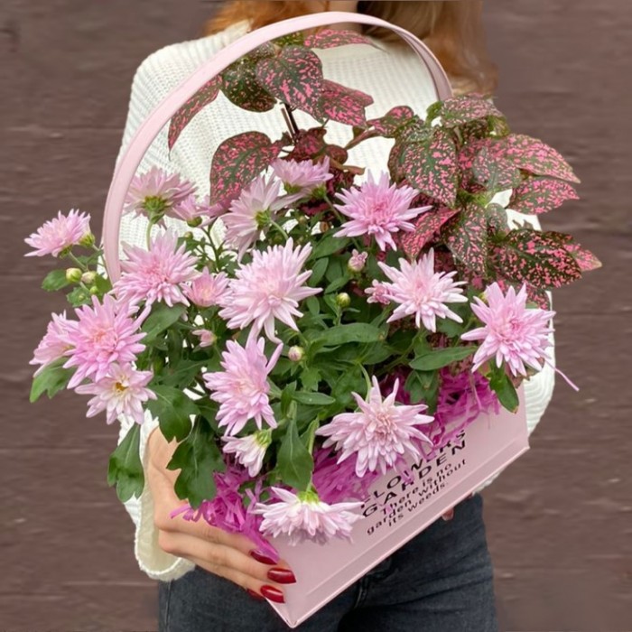 Композиция с хризантемой и гипоэстесом в металлическом кашпо