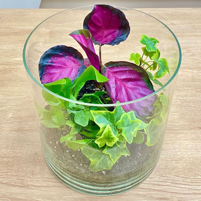 Композиция Утро