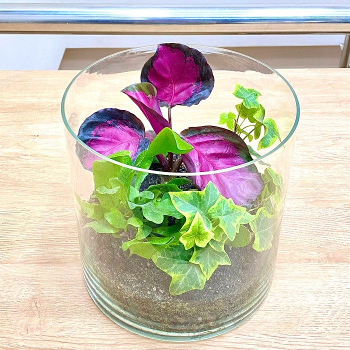 Композиция Утро