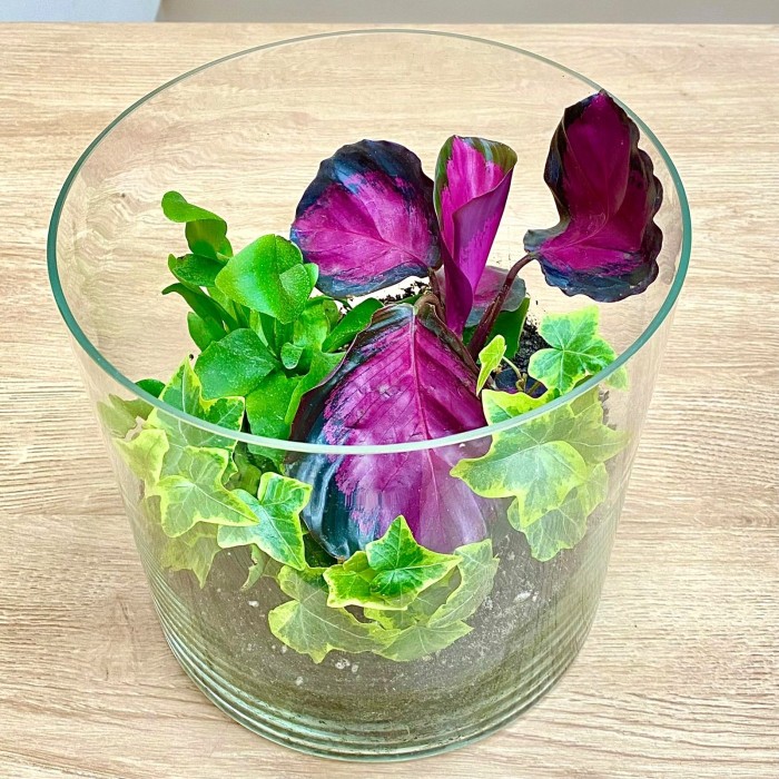 Композиция Утро