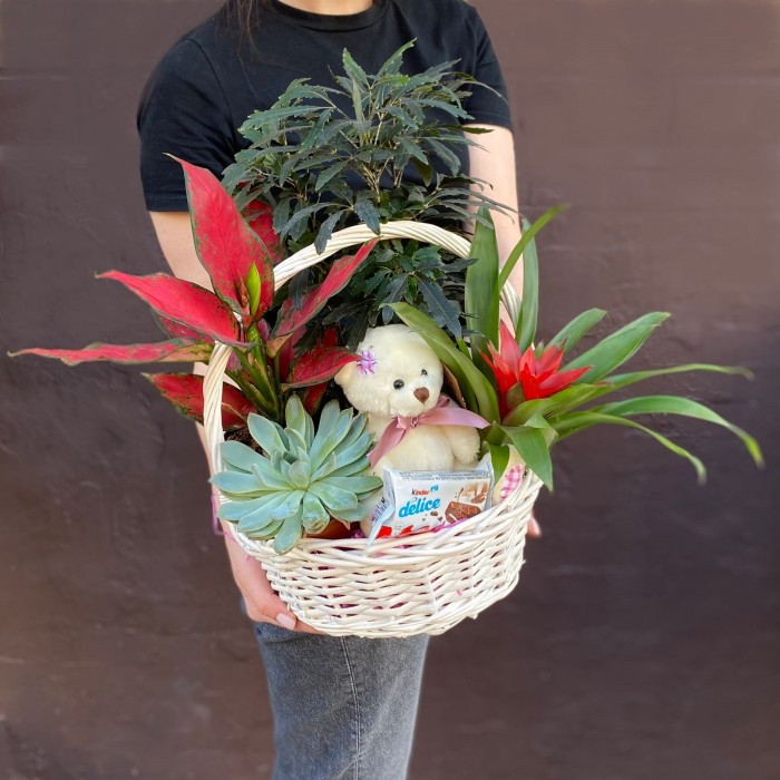 Корзина с дизиготекой и мишкой