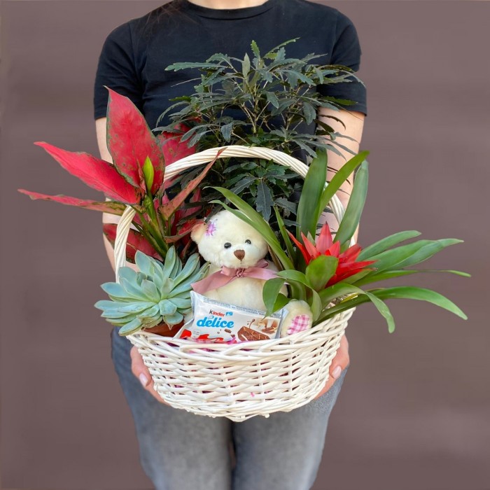 Корзина с дизиготекой и мишкой