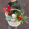Корзина с дизиготекой и мишкой