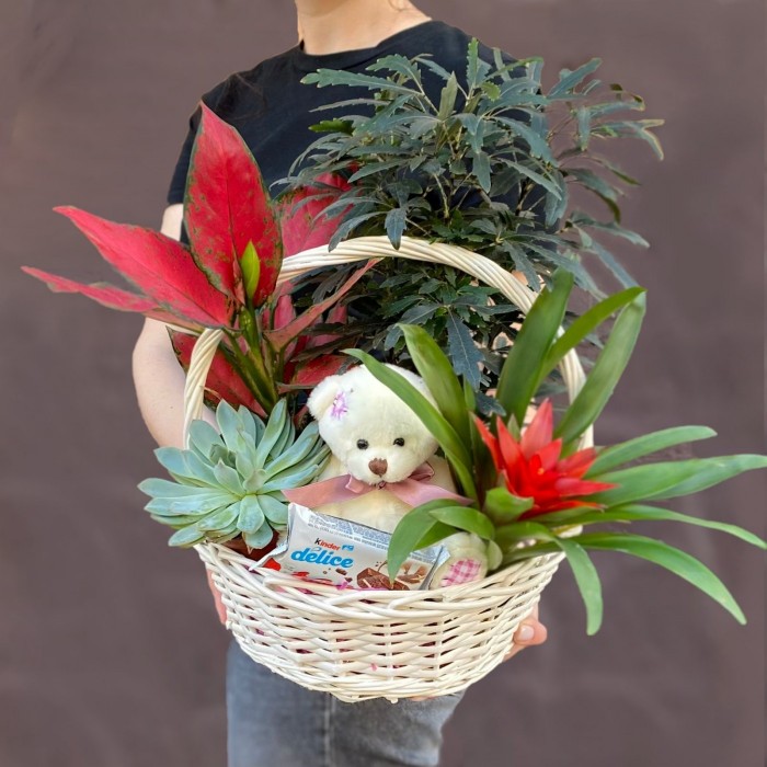 Корзина с дизиготекой и мишкой