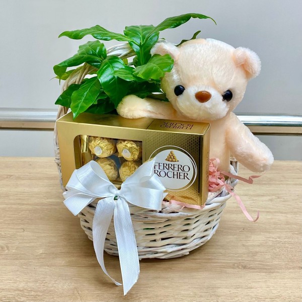 Корзина мишка с кофе