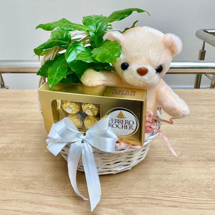 Корзина мишка с кофе