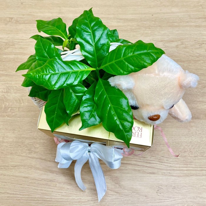 Корзина мишка с кофе