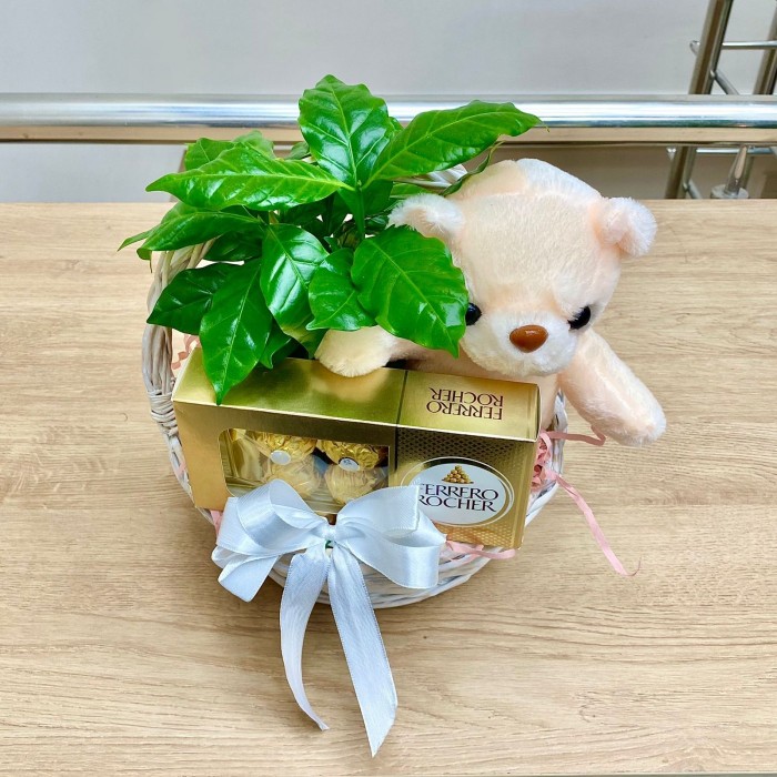 Корзина мишка с кофе