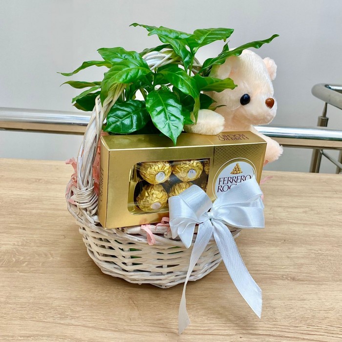 Корзина мишка с кофе