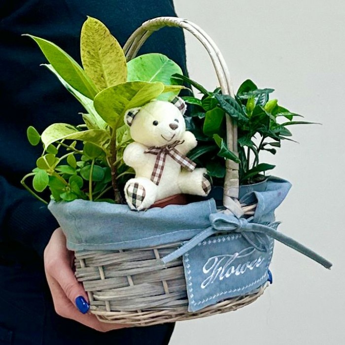 Корзина с гарденией и медвежонком
