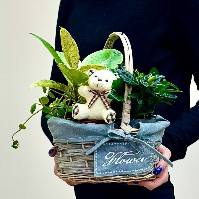 Корзина с гарденией и медвежонком