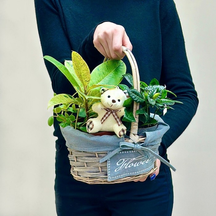Корзина с гарденией и медвежонком