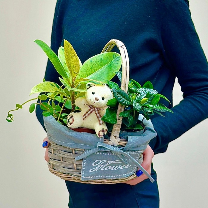 Корзина с гарденией и медвежонком