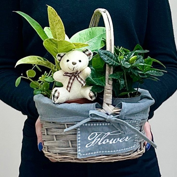 Корзина с гарденией и медвежонком