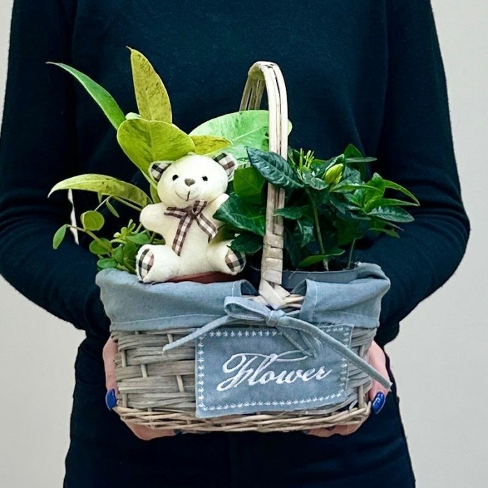 Корзина с гарденией и медвежонком