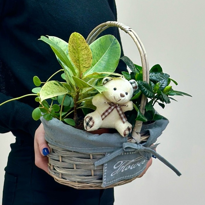 Корзина с гарденией и медвежонком