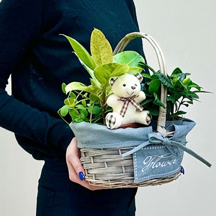 Корзина с гарденией и медвежонком