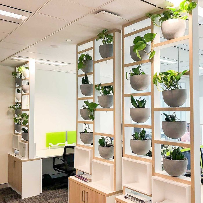 Эпипремнум