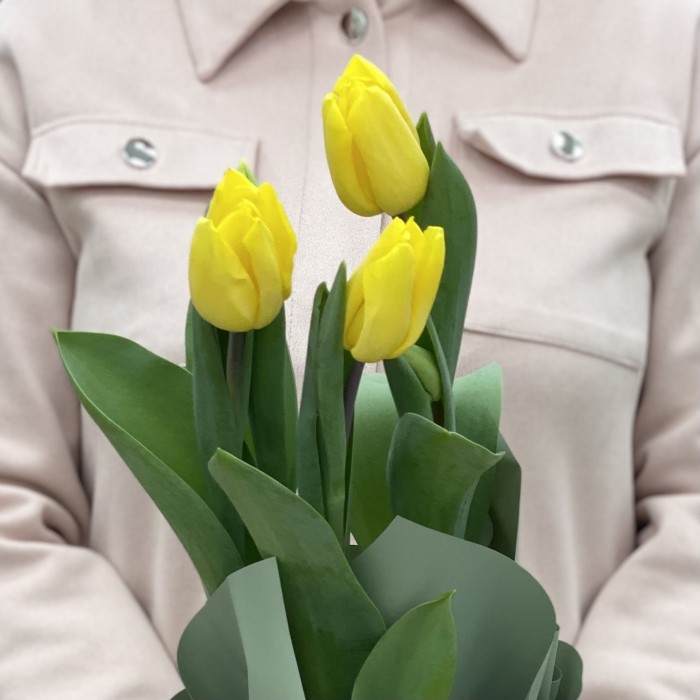 Тюльпаны желтые в горшке