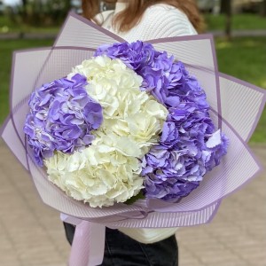 Букет из 5 белых и сиреневых гортензий Букет из 5 белых и сиреневых гортензий