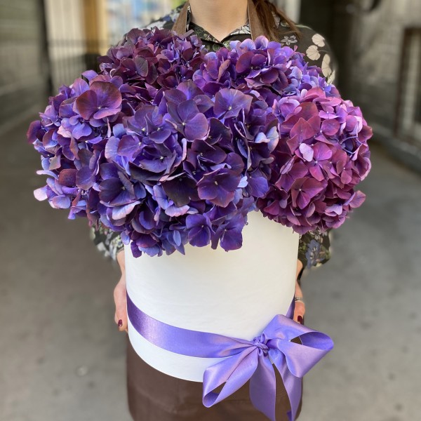 Фиолетовая гортензия в шляпной коробке