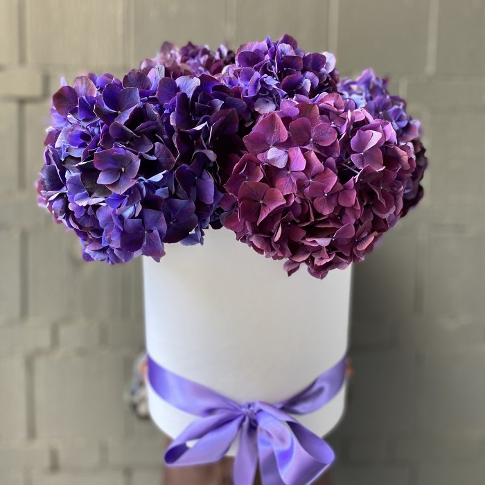 Фиолетовая гортензия в шляпной коробке