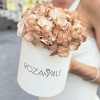 Гортензия капучино в коробке