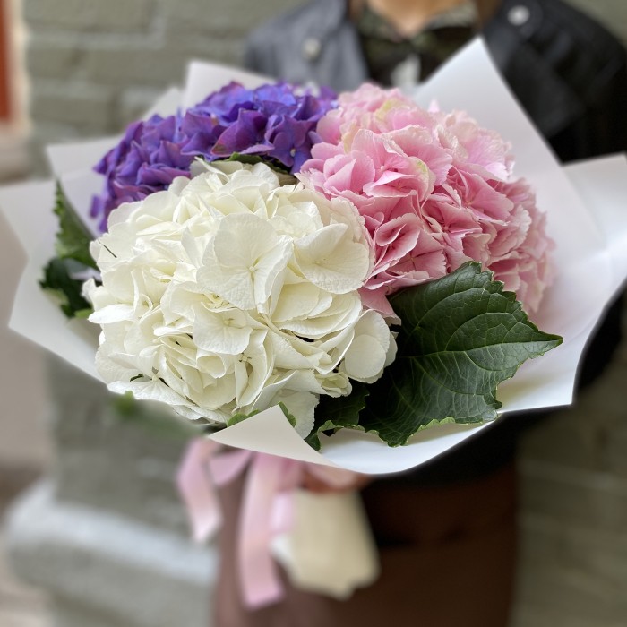 Монобукет из гортензии