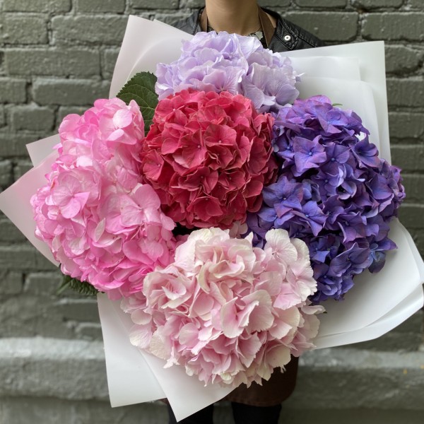 Монобукет из 5 гортензий