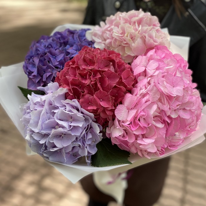 Монобукет из 5 гортензий