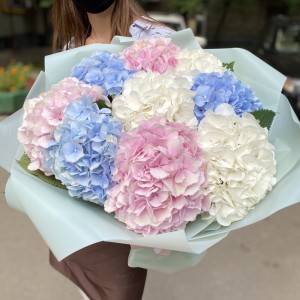 Монобукет из 9 гортензий Нежный Монобукет из 9 гортензий Нежный