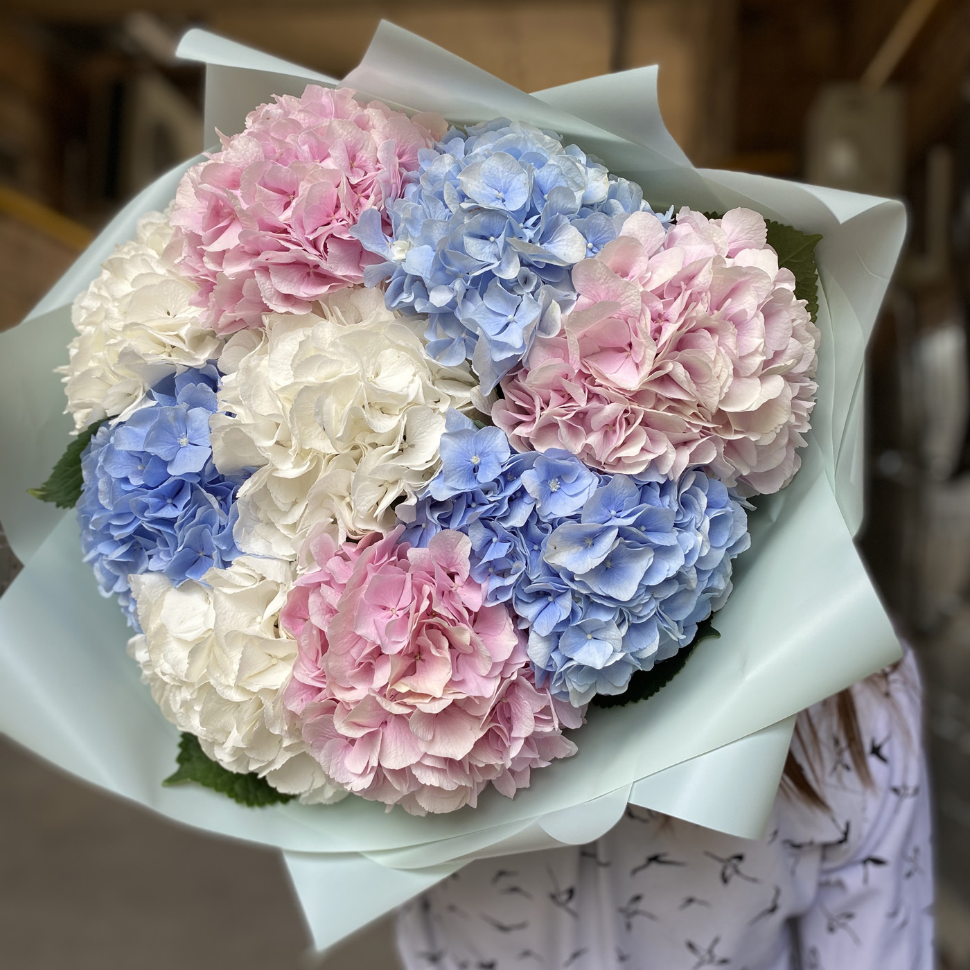Белые, розовые, голубые гортензии недорого с доставкой на День Святого Валентина