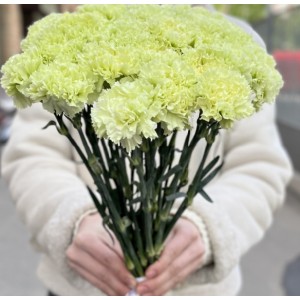 Описание изображения