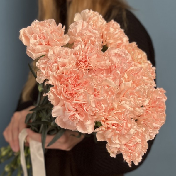 Гвоздика Яблочный чай (Apple Tea)