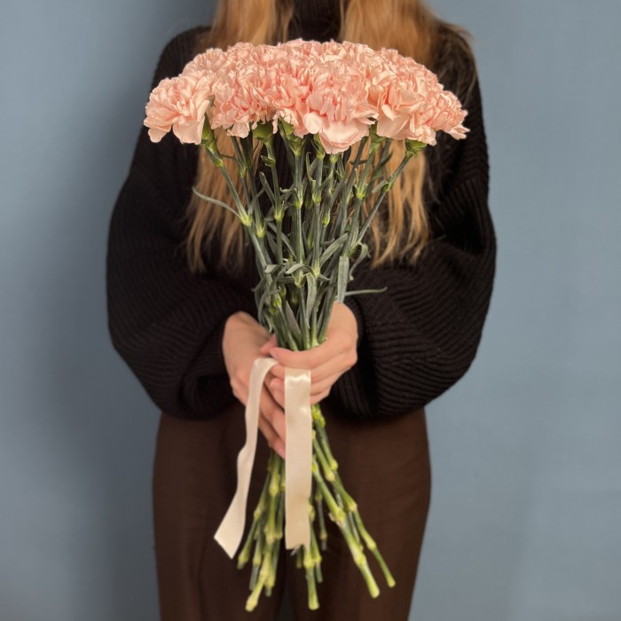 Гвоздика Яблочный чай (Apple Tea)