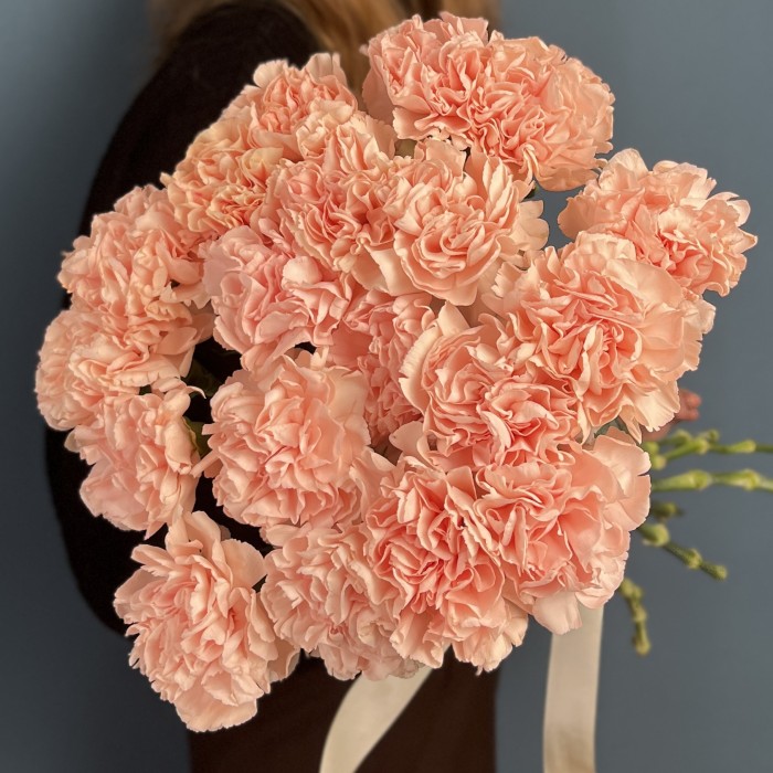 Гвоздика Яблочный чай (Apple Tea)