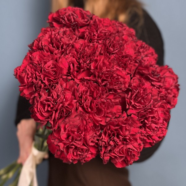 Гвоздика бордовая