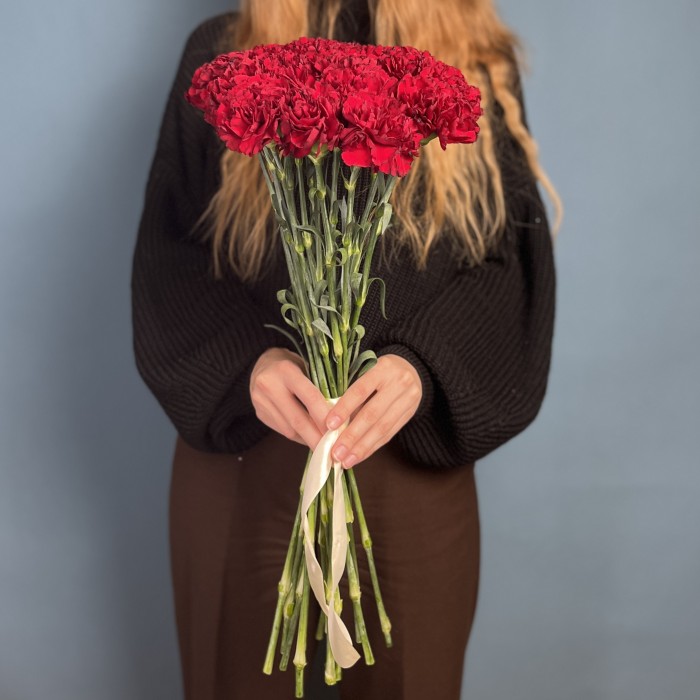 Гвоздика бордовая