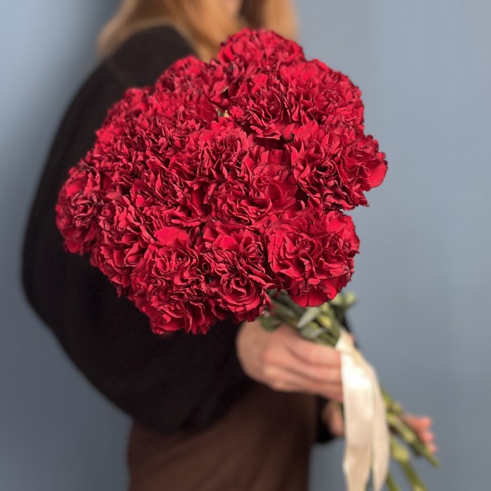 Гвоздика бордовая