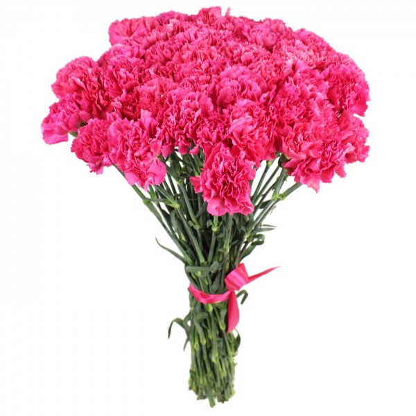 Гвоздика розовая