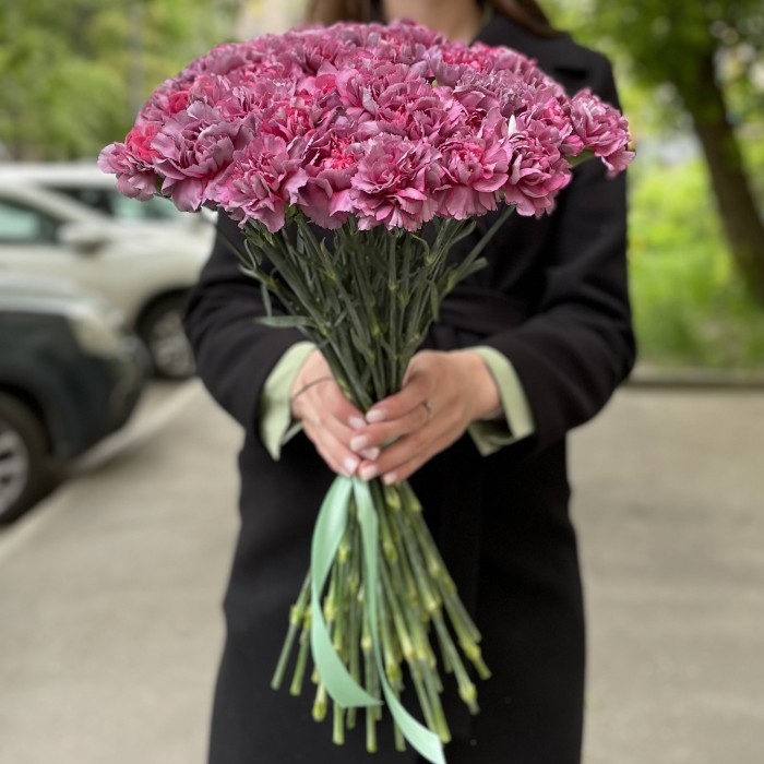 Гвоздика Гипноз (Hypnosis)