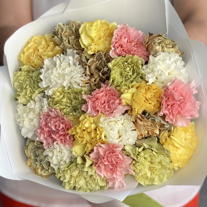 25 гвоздик экзотический микс