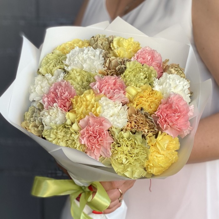 25 гвоздик экзотический микс