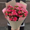 Букет из 25 кустовых малиновых гвоздик