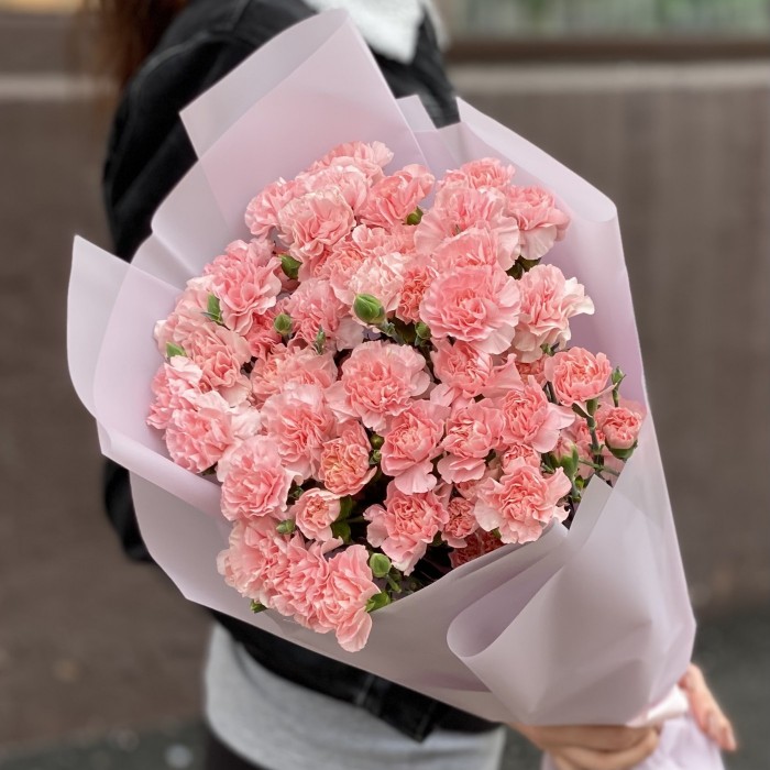 Букет из 25 кустовых нежно-розовых гвоздик