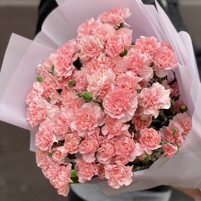 Букет из 25 кустовых нежно-розовых гвоздик