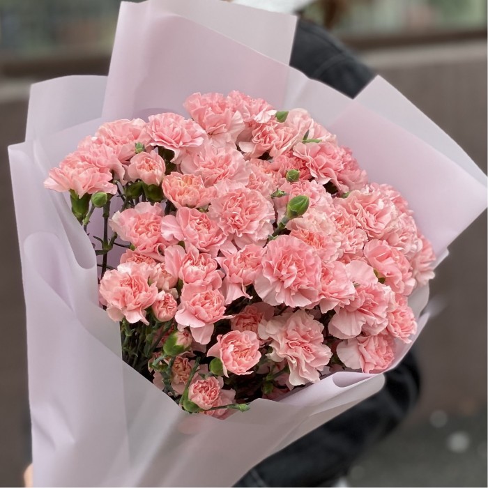 Букет из 25 кустовых нежно-розовых гвоздик